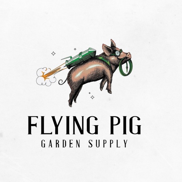 flying pig  logo 