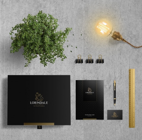 brand identity design