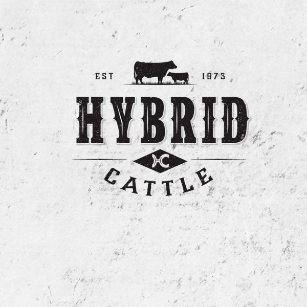 Hybrid Cattle