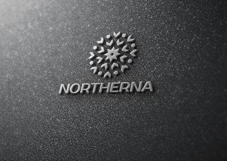 Northerna標志logo設計，品牌vi設計