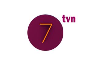 波蘭TVN7頻道臺(tái)標(biāo)標(biāo)志logo設(shè)計(jì)，品牌vi設(shè)計(jì)